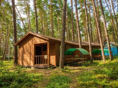 Тишина, покой и скидка 50% — Ваш идеальный отдых ждёт!