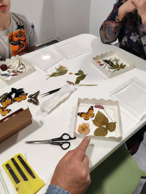 Выставка тропических бабочек и авторские мастер‑классы со скидкой до 28%